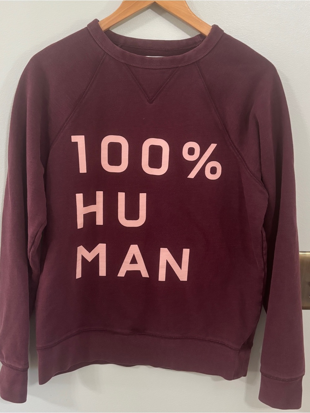 Everlane 100% human maroon crewneck sweatshirt size 8